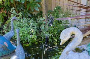 Photo 31- click for photo gallery